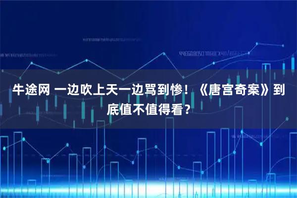 牛途网 一边吹上天一边骂到惨！《唐宫奇案》到底值不值得看？